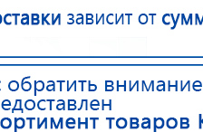 СКЭНАР-1-НТ (исполнение 01 VO) Скэнар Мастер купить в Дербенте, Аппараты Скэнар купить в Дербенте, Скэнар официальный сайт - denasvertebra.ru